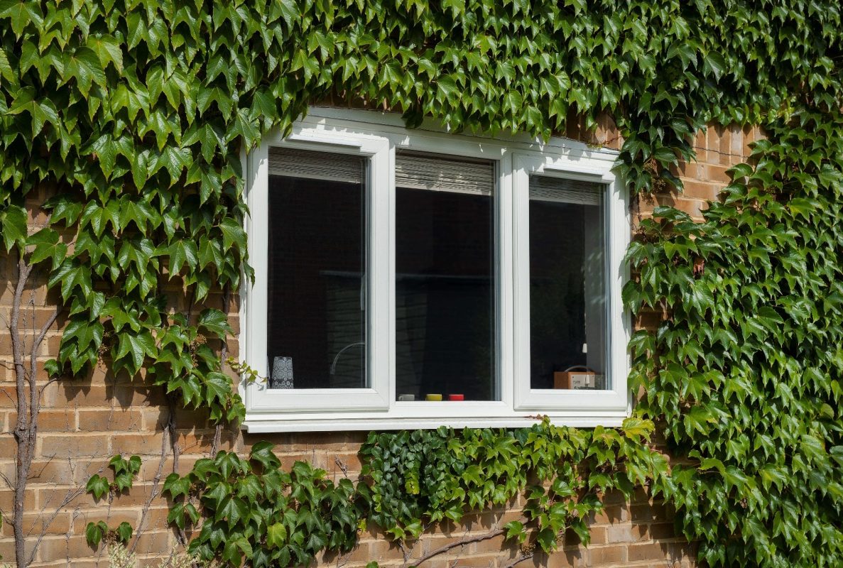 casement windows nolan